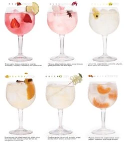 Partybox Te Tonic 24 Infusions En 8 Botanicals Voor Gin & Tonic Cocktails Te Mixen. Kruiden Zijn Speciaal Geselecteerd Voor Gin -Skimask 1024x1200 2