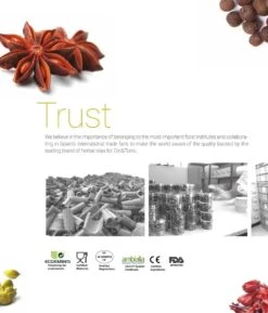 7 Botanicals Van Té Tonic Voor In Uw Gin & Tonic Cocktails - Ideaal Cadeau Voor Echte Gin Liefhebbers -Skimask 1024x1200 6