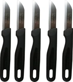 Solingen Schilmesje - RVS - Zwart - 5 Stuks - Exclusief Blade Covers