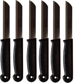 Schilmesje - RVS Met Kartel - Zwart - 10 Stuks