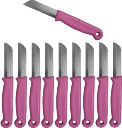 Solingen Schilmesje - RVS Glad - 16 Cm Met "Blade Cover" - Roze - 10 Stuks