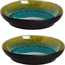 Palmer Bord Diep Lotus 21 Cm Zwart Turquoise Stoneware 2 Stuk(s) 18 Palmer Bord Diep Lotus 21 Cm Zwart Turquoise Stoneware 2 Stuk(s) -Skimask 1199x1200 24
