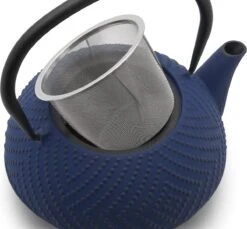 Bredemeijer Theepot Fujian 1.2L Met Filter Kobalt Blauw -Skimask 1200x1111 17