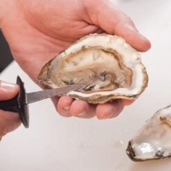 Orange85 Oestermes - Oesterbreekmes - Zwart - 14.5x5x1.7 Cm - RVS -Skimask 1200x1200 121