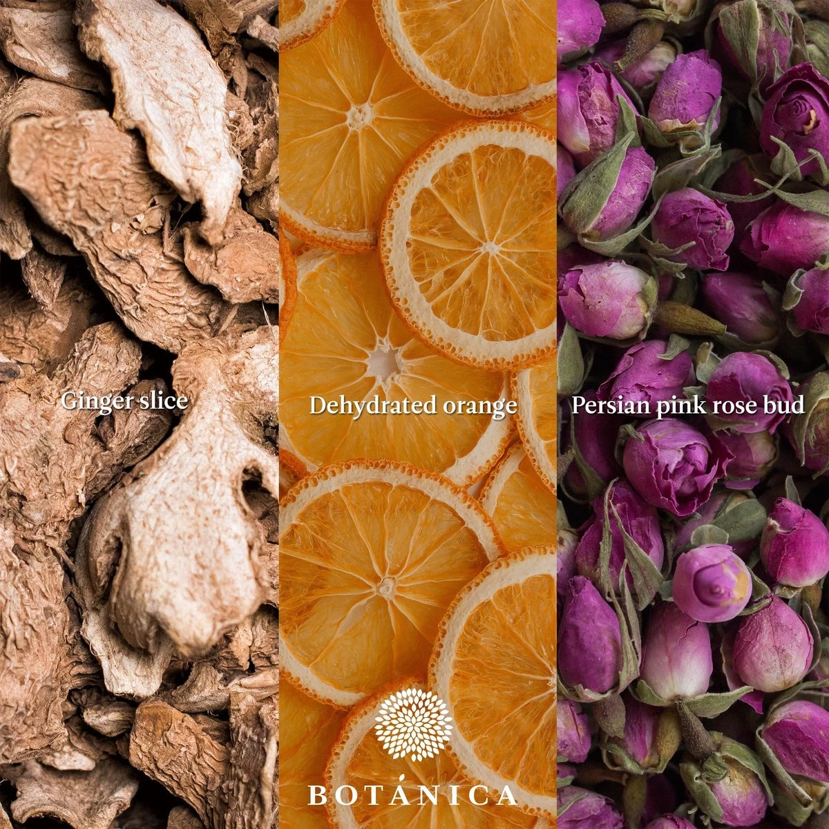 BOTANICA Gin-botanicals Ginkruiden 6 Soorten (mix 1) In Paper-bag (175g) 4 BOTANICA Gin-botanicals Ginkruiden 6 Soorten (mix 1) In Paper-bag (175g) - Afbeelding 2