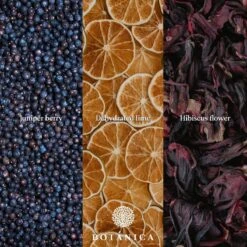 BOTANICA Gin-botanicals Ginkruiden 6 Soorten (mix 1) In Paper-bag (175g) 15 BOTANICA Gin-botanicals Ginkruiden 6 Soorten (mix 1) In Paper-bag (175g) -Skimask 1200x1200 1579