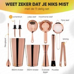 Cocktail Set Bartender Pros™ - Cocktail Shaker - 11-Delige Cocktailset - Boston Shaker - Cocktailshaker - Rose - RVS -Skimask 1200x1200 1724