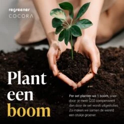 Cocora Gin Tonic Geschenkset - 12-delige RVS Cocktail Set - Tritan® Kristalglazen - Cocktail Boek - Luxe Cadeauverpakking - Rosé Goud -Skimask 1200x1200 1915