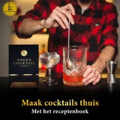 Bar Dedicated - Cocktailshaker Set 16 Delig - Cocktail Set Inclusief Nederlandstalig Receptenboek (750ml) -Skimask 1200x1200 1952