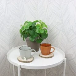 OTIX Koffiekopjes - Met Oor - Set Van 4 - Verschillende Kleuren - Aardewerk - 250 Ml 13 OTIX Koffiekopjes - Met Oor - Set Van 4 - Verschillende Kleuren - Aardewerk - 250 Ml -Skimask 1200x1200 3168