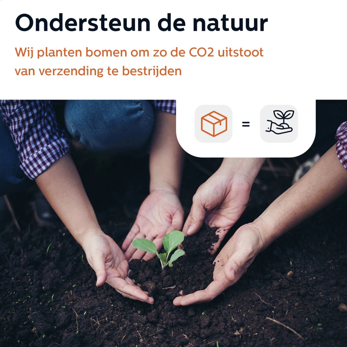 BooGoo® - Olijfolie Sprayer Deluxe - Olijfolie Fles Verstuiver Voor Keuken - Cooking Spray - Oliespray - Bbq Accesoires - Oliefles - Bakspray 15 BooGoo® - Olijfolie Sprayer Deluxe - Olijfolie Fles Verstuiver Voor Keuken - Cooking Spray - Oliespray - Bbq Accesoires - Oliefles - Bakspray - Afbeelding 13