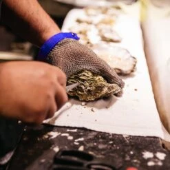 Nimma® Oesterhandschoen - Oesterset - Inclusief Oestermes En Binnenhandschoen - Veilig Snijden - Maat S/M/L - RVS -Skimask 1200x1200 914