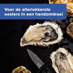 Nimma® Oesterhandschoen - Oesterset - Inclusief Oestermes En Binnenhandschoen - Veilig Snijden - Maat S/M/L - RVS -Skimask 1200x1200 915