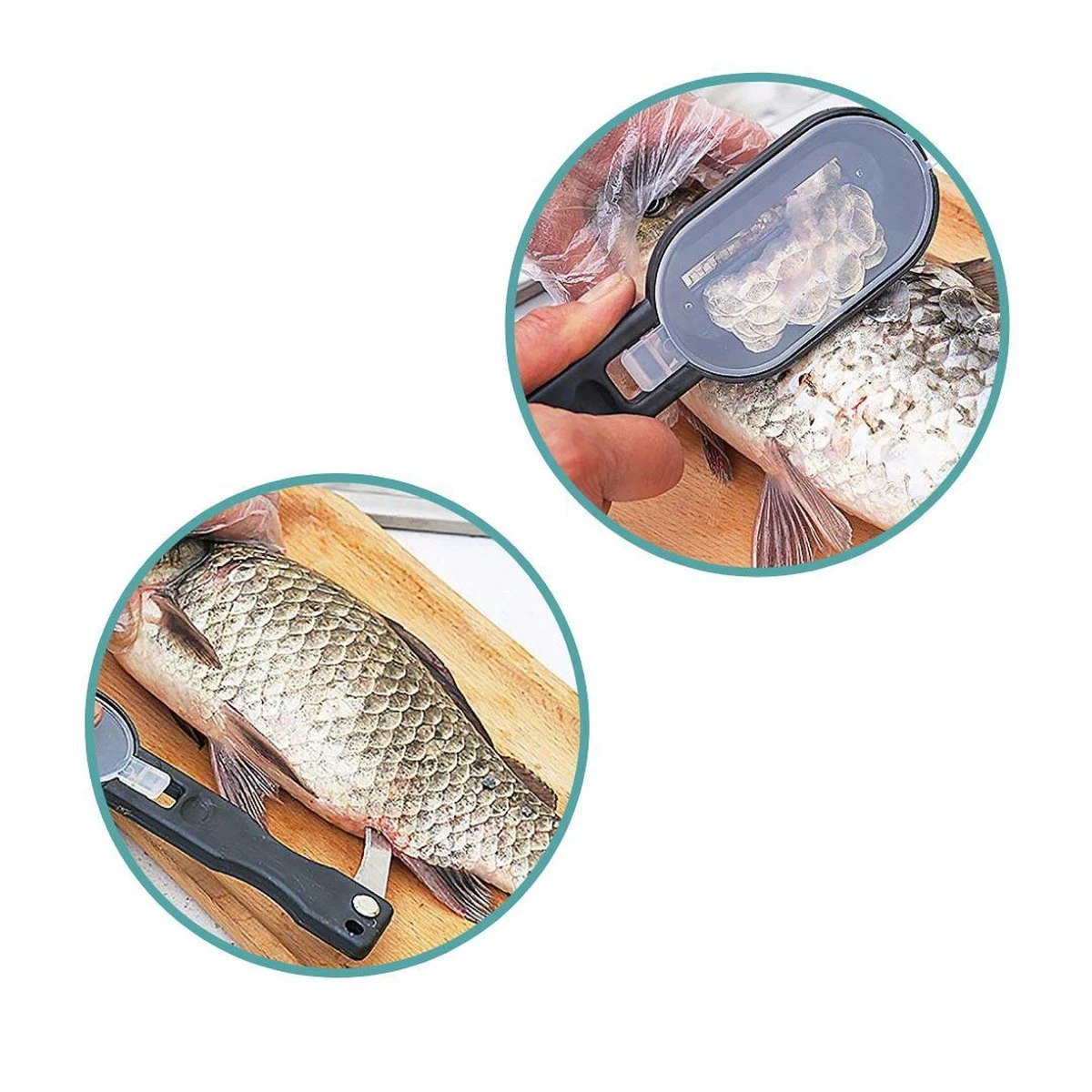 Merkloos Vis Schubben Schraper Met Handig Opvangbakje En Ingewanden Mes 4 Merkloos Vis Schubben Schraper Met Handig Opvangbakje En Ingewanden Mes - Afbeelding 2