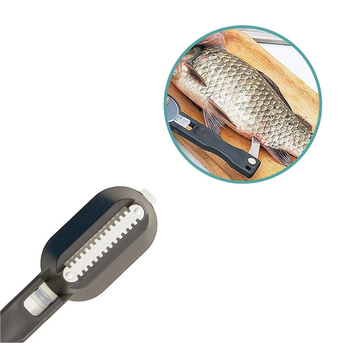 Merkloos Vis Schubben Schraper Met Handig Opvangbakje En Ingewanden Mes 5 Merkloos Vis Schubben Schraper Met Handig Opvangbakje En Ingewanden Mes - Afbeelding 3