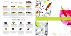 Partybox Te Tonic 24 Infusions En 8 Botanicals Voor Gin & Tonic Cocktails Te Mixen. Kruiden Zijn Speciaal Geselecteerd Voor Gin -Skimask 1200x606 2