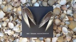 Het Zeeuws Mosselbestek 33 Het Zeeuws Mosselbestek -Skimask 1200x675 14