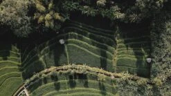 Sola Bestekset Bali - Modern - 9 Persoons - 90 Delig - Zilverwit Edelstaal 18/10 - RVS - Zilver 10 Sola Bestekset Bali - Modern - 9 Persoons - 90 Delig - Zilverwit Edelstaal 18/10 - RVS - Zilver -Skimask 1200x675 15