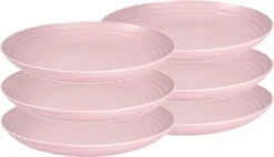 Set Van 6x Stuks Rond Kunststof Borden Oud Roze 25 Cm - Herbruikbaar - Dinerbord - Barbecuebord - Campingbord