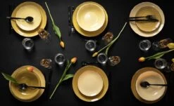 Studio Tavola Serviesset Sunny Fall 18-Delig 11 Studio Tavola Serviesset Sunny Fall 18-Delig -Skimask 1200x735 3