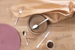 Amefa Bologna Bestekset - 24 Delig - 6 Persoons - Zilver - 13 Amefa Bologna Bestekset - 24 Delig - 6 Persoons - Zilver - -Skimask 1200x795 6