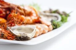 Maxwell & Williams Motion Serviesset - 6 Personen - 30 Delig -Skimask 1200x799 211