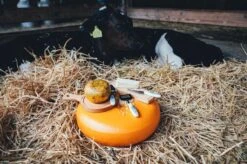 Boska Kaasmes Halfzacht Mini Delfts Blauw - Hollands Cadeau - Oer-Hollands - Cadeauset - Giftset - Cadeautips - Keukengerei - Keuken Accessoires - 10 Jaar Garantie -Skimask 1200x799 63