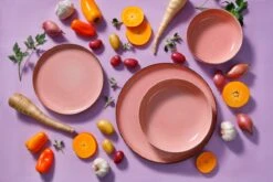 Palmer Serviesset Antigo Porselein 6-persoons 24-delig Roze 17 Palmer Serviesset Antigo Porselein 6-persoons 24-delig Roze -Skimask 1200x800 323