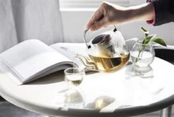 Viva Scandinavia Bjorn Theepot - Glas - Met Filter - 1,2 L - Transparant -Skimask 1200x807 4