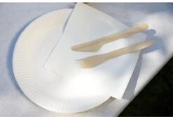 Kartonnen Bordjes Wit Ø23 Cm - Wegwerp Bord - Feest/Verjaardag - 100 Stuks 7 Kartonnen Bordjes Wit Ø23 Cm - Wegwerp Bord - Feest/Verjaardag - 100 Stuks -Skimask 1200x818 4