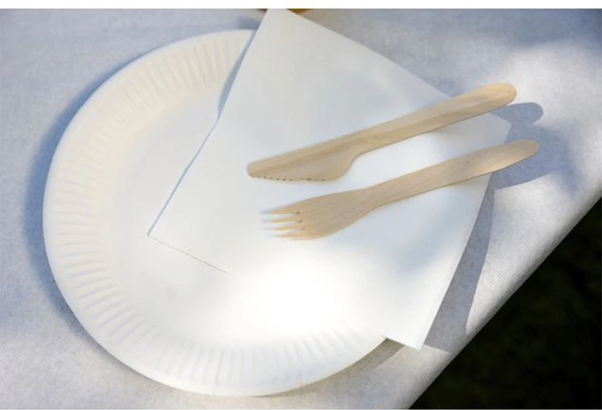 Kartonnen Bordjes Wit Ø23 Cm - Wegwerp Bord - Feest/Verjaardag - 100 Stuks 4 Kartonnen Bordjes Wit Ø23 Cm - Wegwerp Bord - Feest/Verjaardag - 100 Stuks - Afbeelding 2