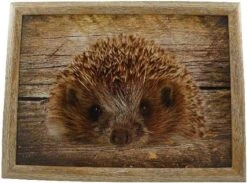 Mars & More - Laptray - Schootkussen - Egel - 33x43 Cm -Skimask 1200x891 7