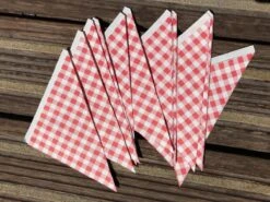 Papieren Frietzak - 30 Stuks - Kleine Patat Maat K14 - Boerenbont - Rode Ruitjes - Puntzak - Patatzak - Traktaties -Skimask 1200x900 246