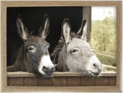 Schootkussen/laptray Ezels Print 43 X 33 Cm - Schoottafel - Dienblad Voor Op Schoot Ezels