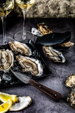 Laguiole Style De Vie Oestermes Luxury Line - Met Handbeschermer - Wenge -Skimask 800x1200 28