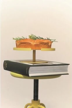 DesignBite Cake Stand - Etagere 2 Lagen Metaal Latte -Skimask 803x1200 5