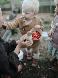 Siliconen Kommen - Mushie - Woodchuck - Set 2 -Skimask 894x1200 8