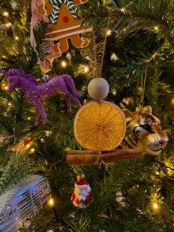 BOTANICA Gedroogde Sinaasappel Schijfjes 110 G -Skimask 900x1200 31