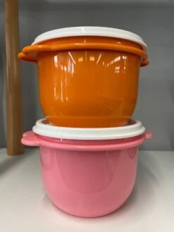 Tupperware Zonnedeksel Kommen Set Van 2