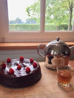 Bredemeijer - Theepot Minuet Santhee 0,5L Glanzend Dubbelwandig 22 Bredemeijer - Theepot Minuet Santhee 0,5L Glanzend Dubbelwandig -Skimask 910x1200 7