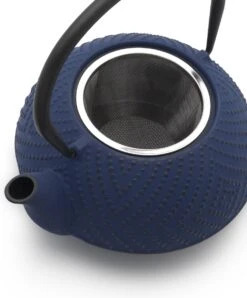 Bredemeijer Theepot Fujian 1.2L Met Filter Kobalt Blauw -Skimask 996x1200 4